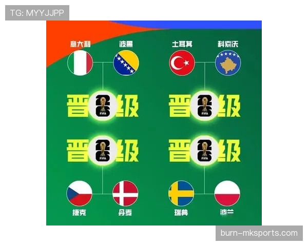 波黑冲击2026世界杯：晋级前景与阵容挑战分析